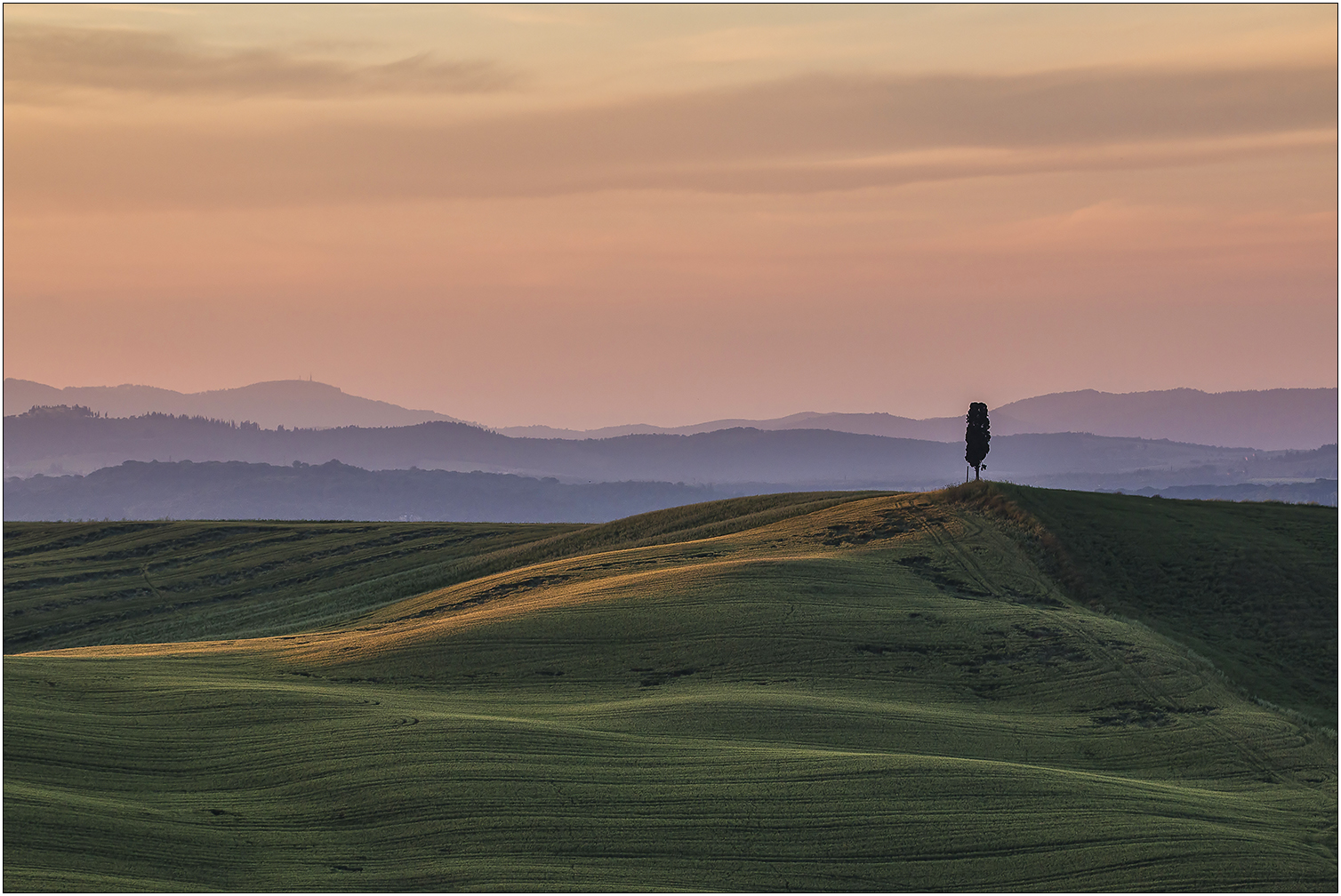 Il solista