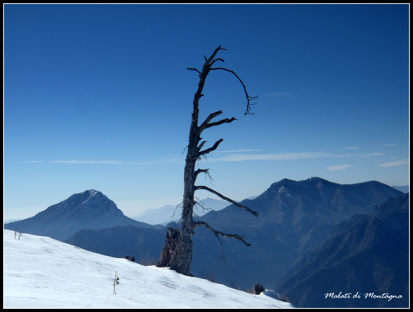 ...il solitario...