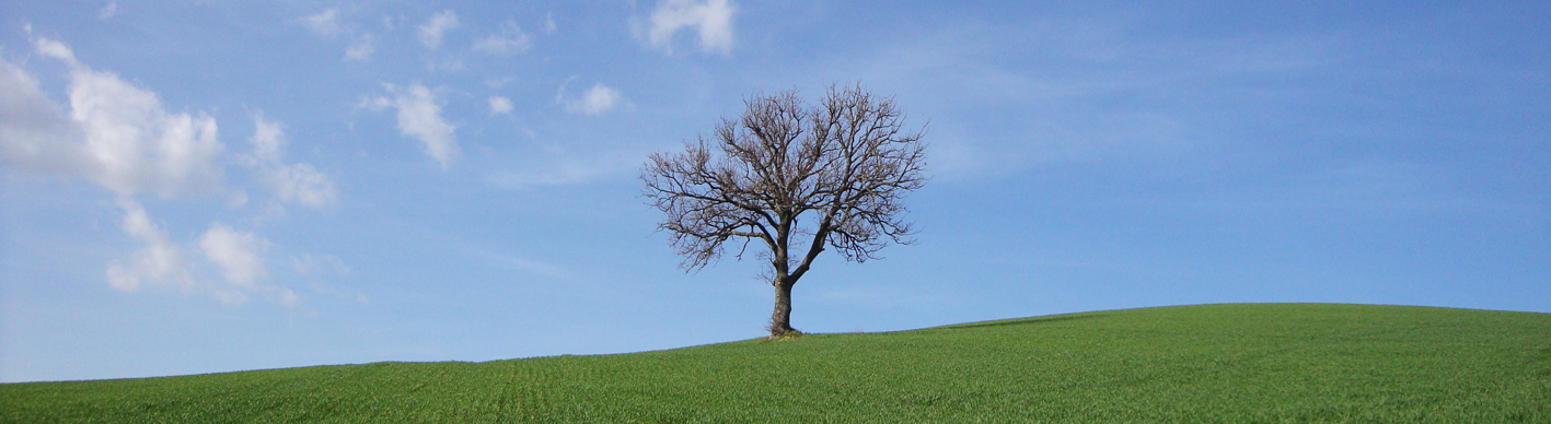 IL SOLITARIO