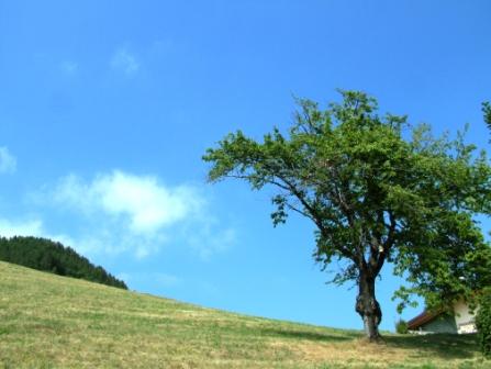 Il Solitario