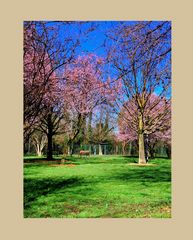 IL solitario giardino primaverile della periferia!...