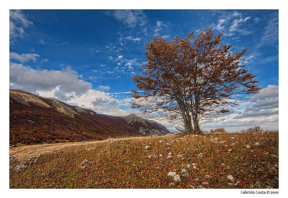 Il solitario in autunno