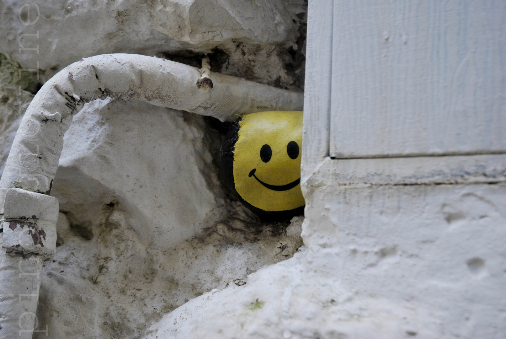 il sorriso che non ti aspetti...