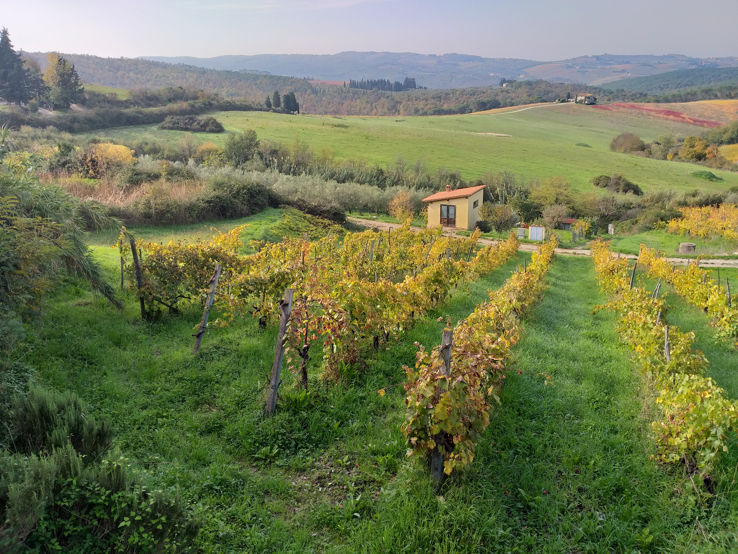 il sorriso della campagna