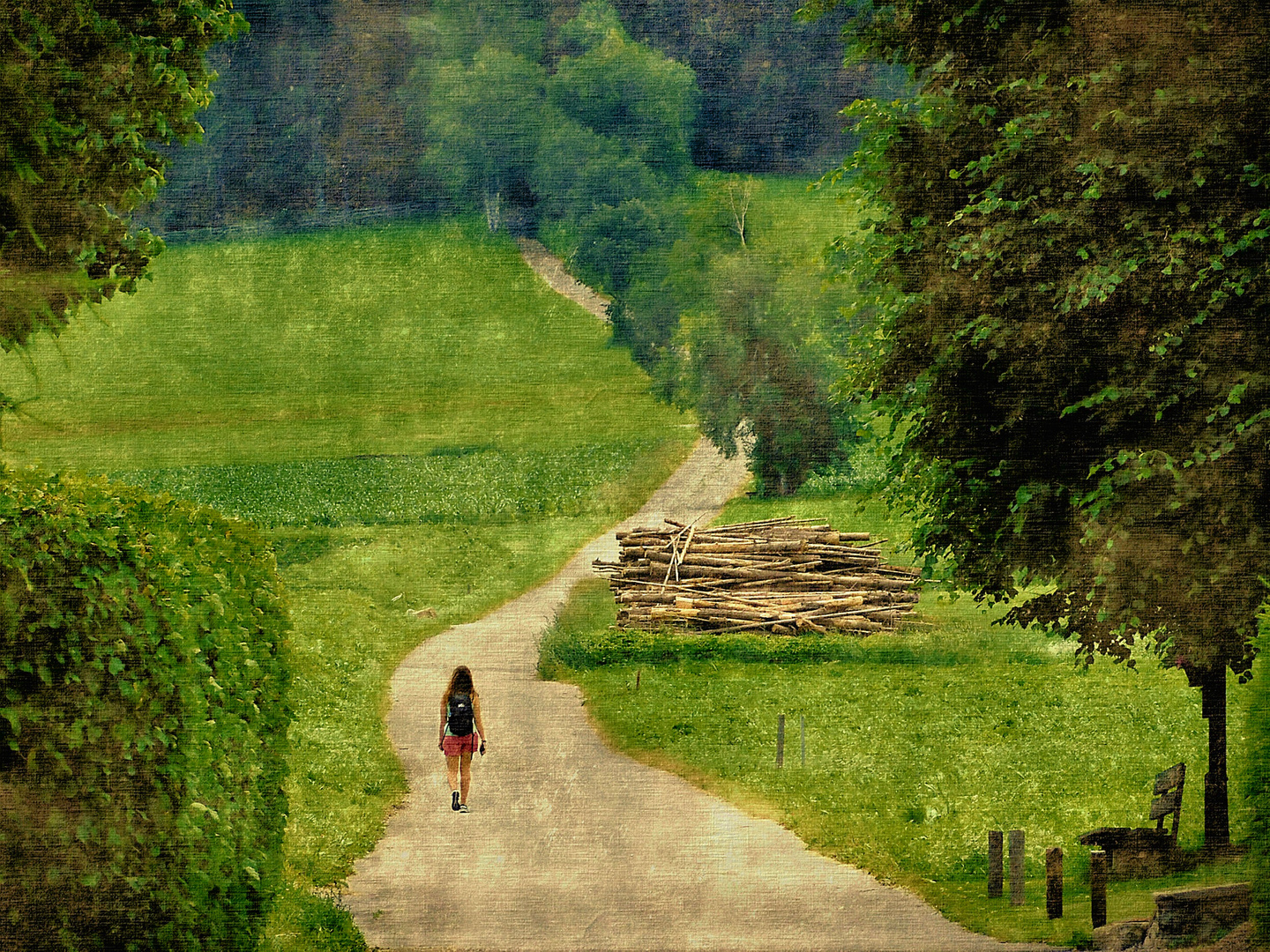 Il suo percorso