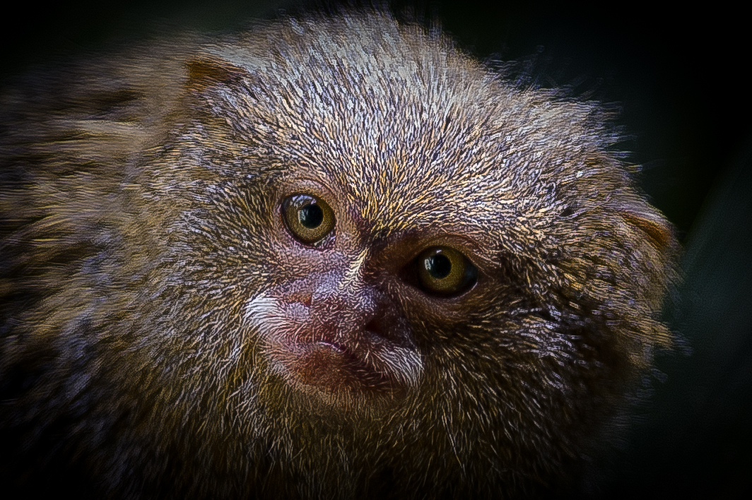 Il suo sguardo