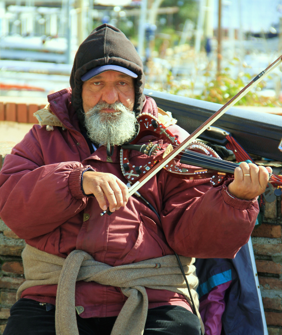 il suonatore