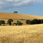 Il tavoliere e le sue colline non ancora incenerite