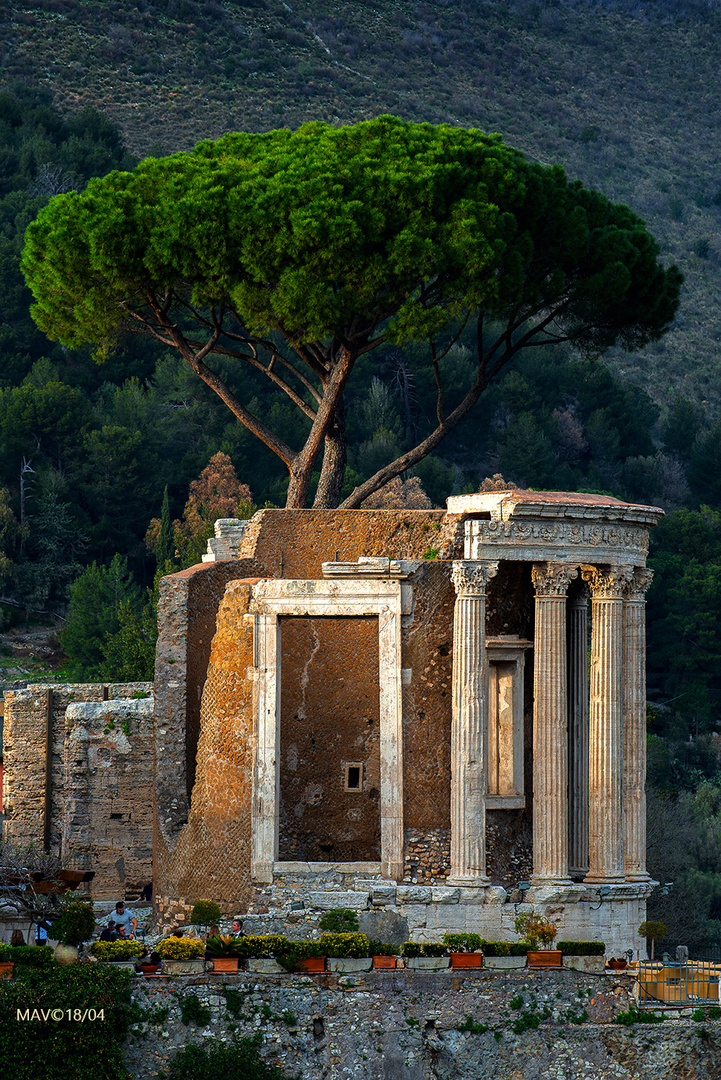 Il Tempio di Vesta sull'Acropoli di Tivoli