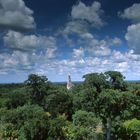 Il tempio nella foresta