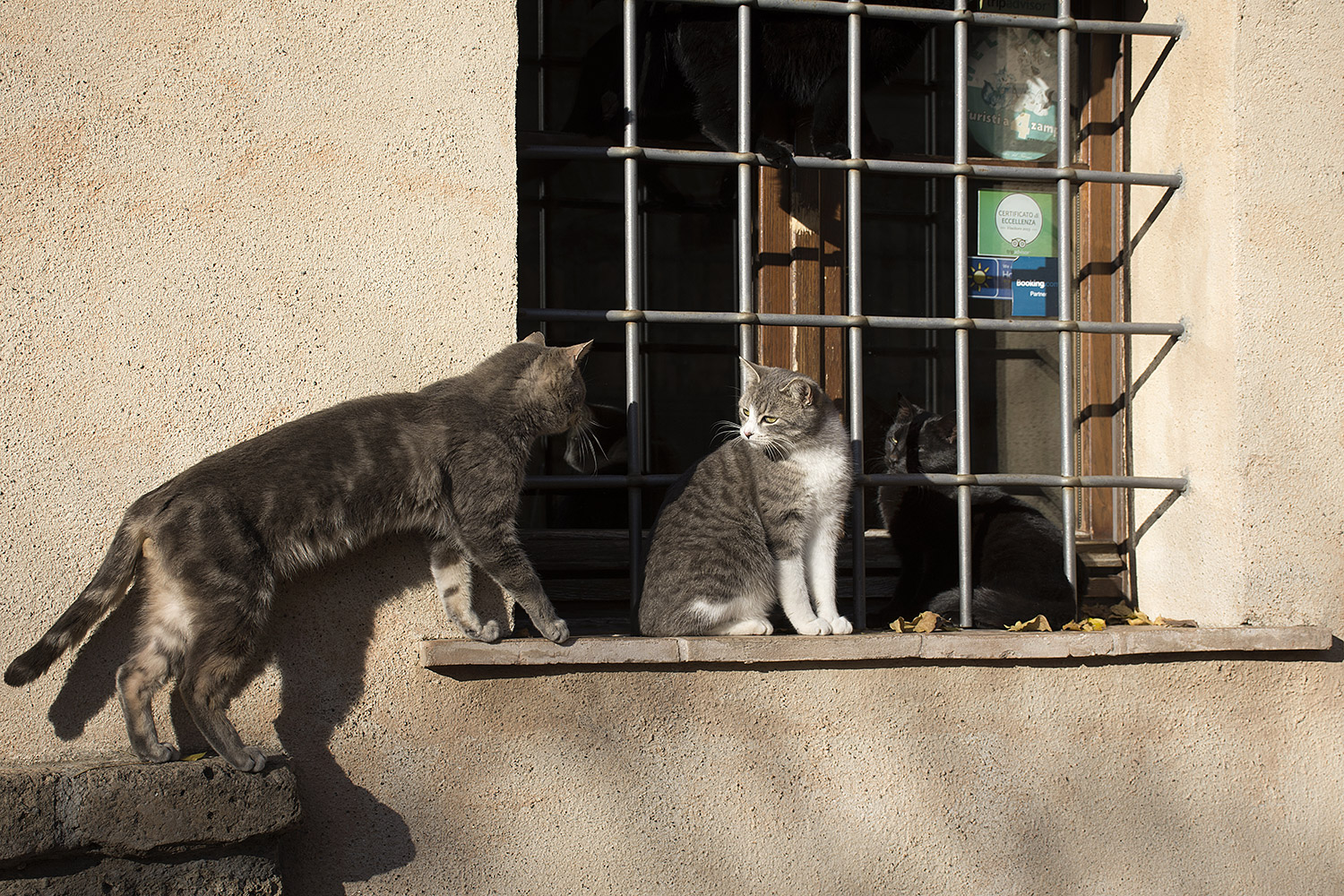 Il terzo incomodo