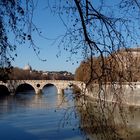 IL TEVERE A ROMA