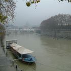 Il Tevere " livello di guardia "