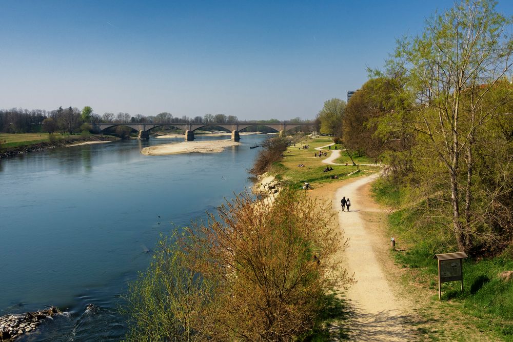 Il Ticino a Pavia