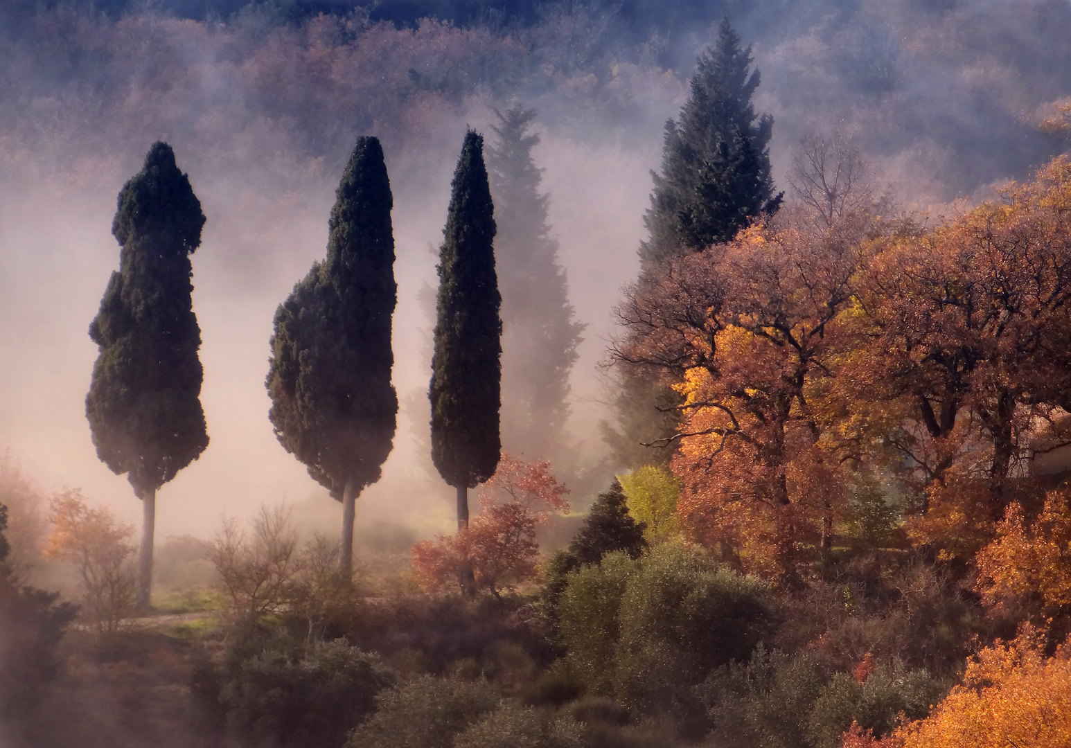 Il Tondo - Montefollonico