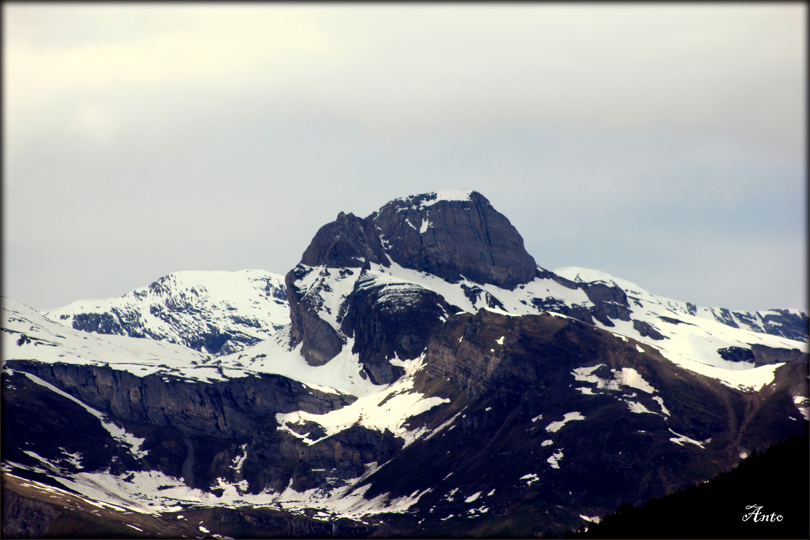 Il TOPO il Re della montagna