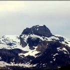 Il TOPO il Re della montagna