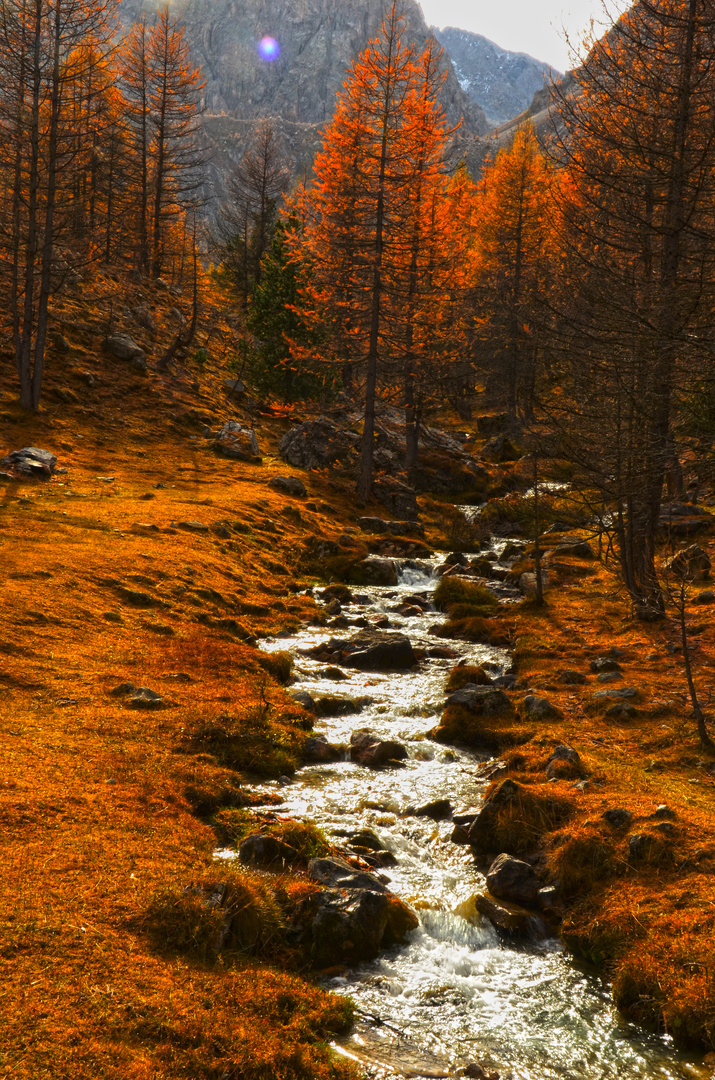 Il torrente