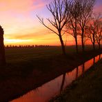 Il tramonto dei pioppi (The sunset of the poplars)