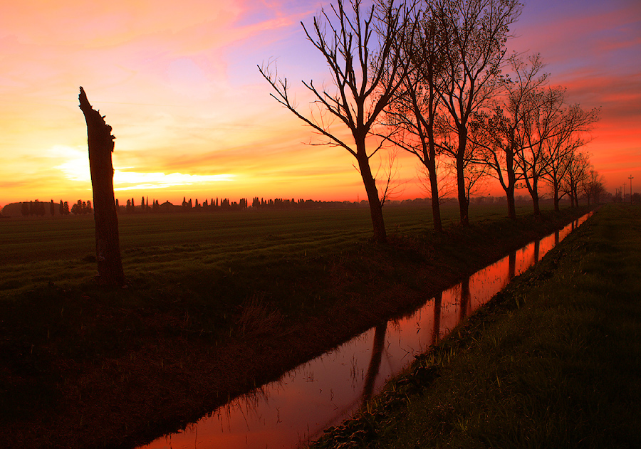 Il tramonto dei pioppi (The sunset of the poplars)