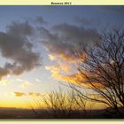 Il tramonto dell'albero