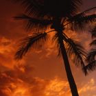 Il tramonto di Maui