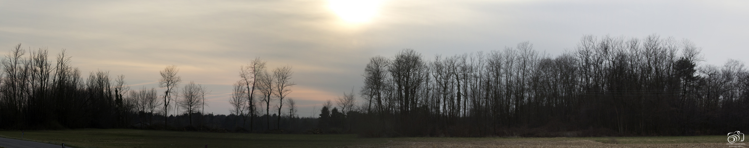 Il tramonto sul bosco