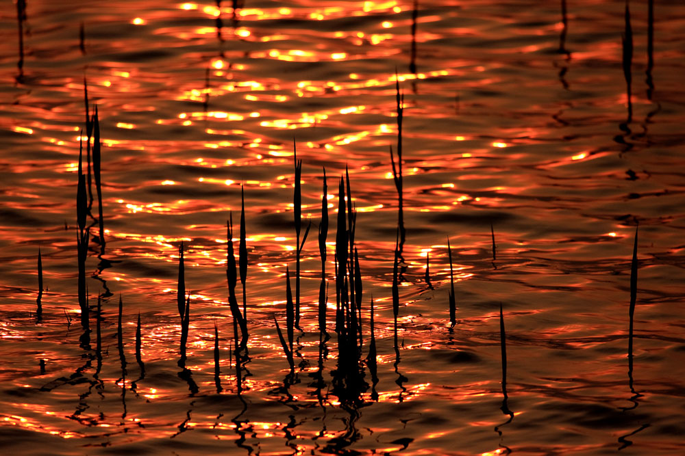 Il tramonto vissuto dalla natura