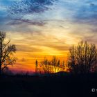 Il tramonto visto dalle Cascine