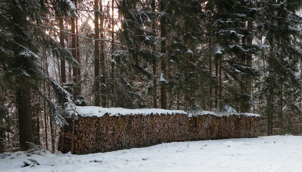 Il va faire froid cet hiver.........! photo et image paysages