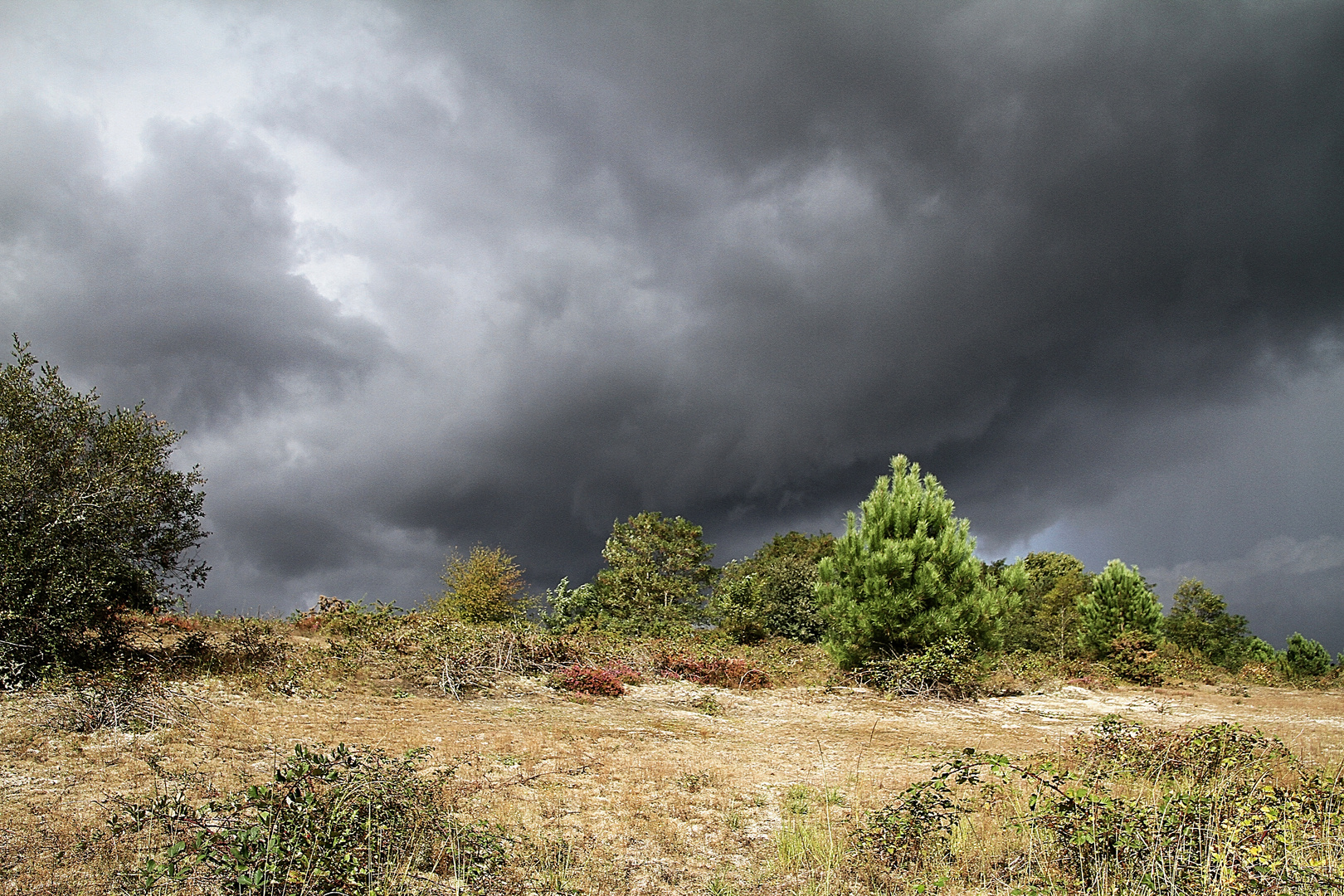 Est Ce Que Il Va Pleuvoir Aujourd'hui il va pleuvoir ! photo et image | paysages, paysages de campagne