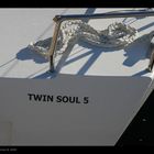 Il varo a Riva di Traiano di Twin Soul 5 del Cantiere Mylius