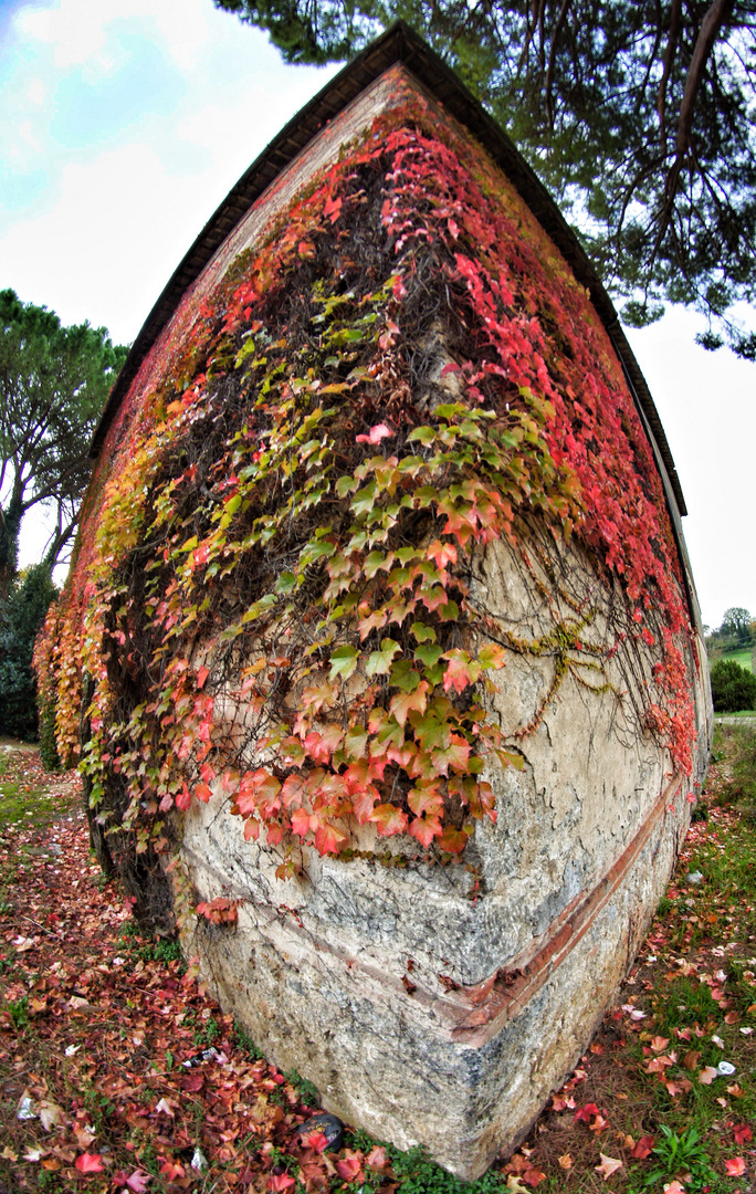 Il vascello dei miei sogni