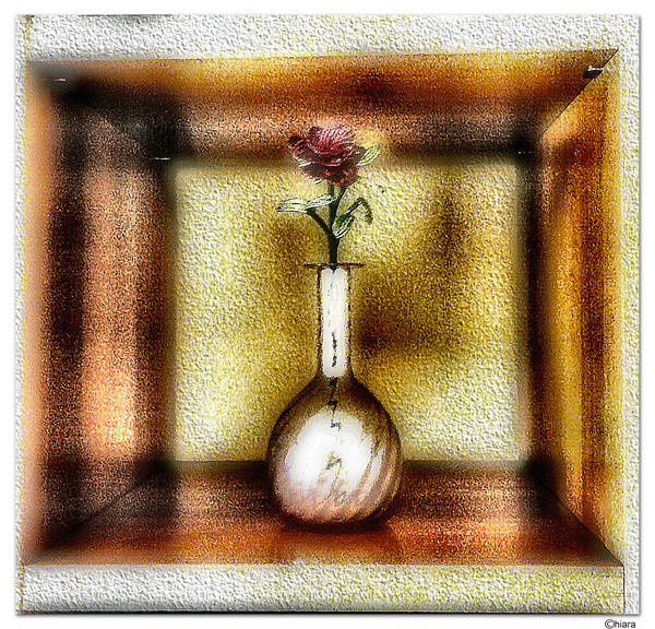 Il vaso e la rosa