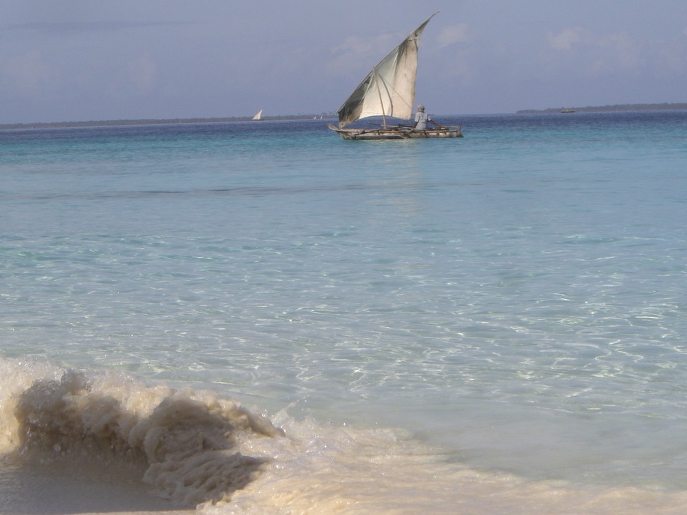 Il ''vecchio'' e il mare