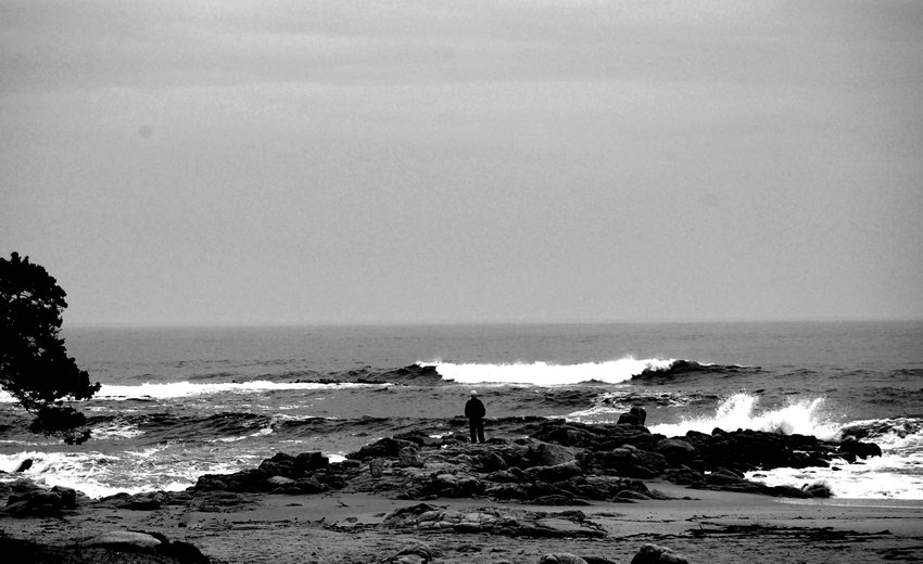 il vecchio e il mare....