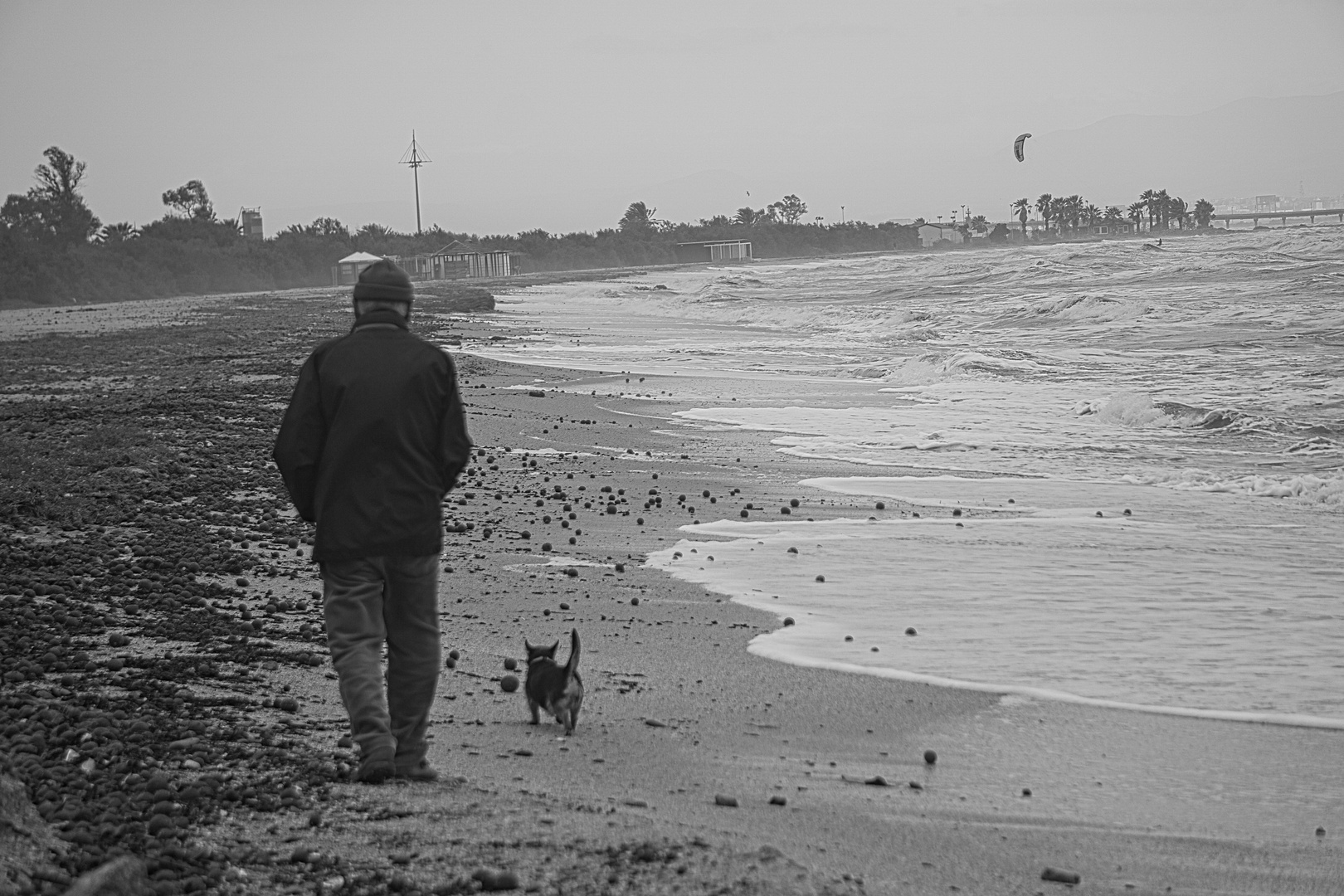 Il vecchio e il mare