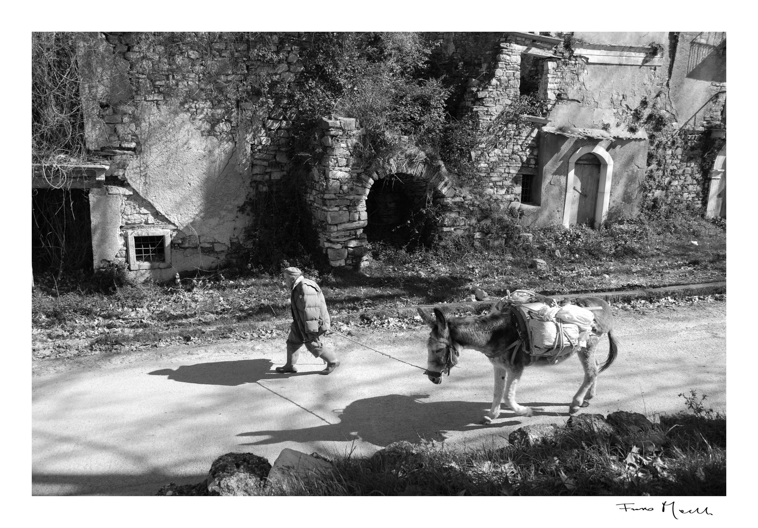 il vecchio e l'asino