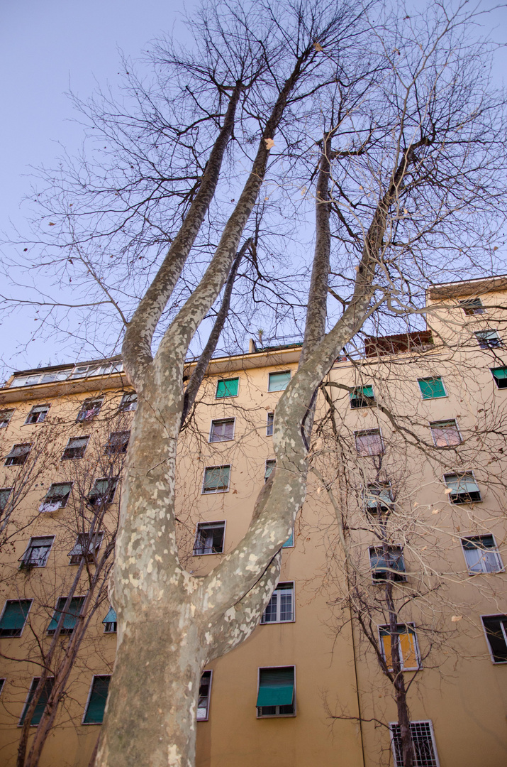 il vecchio e l'inverno