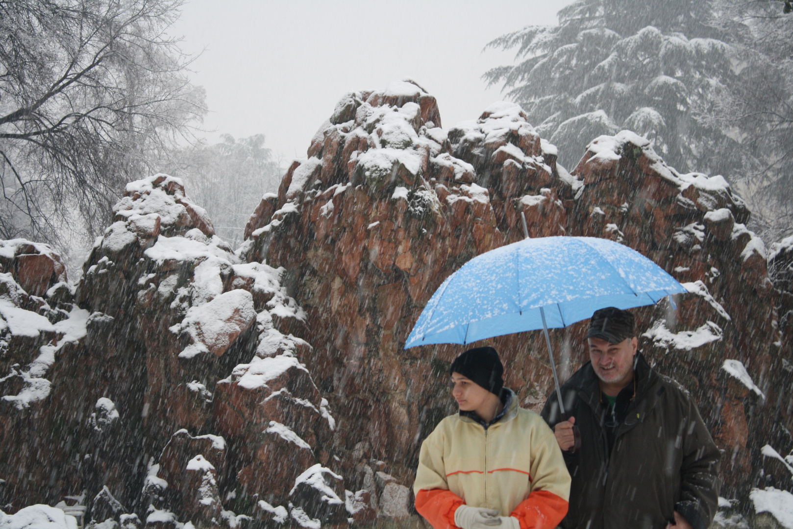 Il vecchio, il ragazzo e la neve