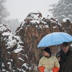 Il vecchio, il ragazzo e la neve