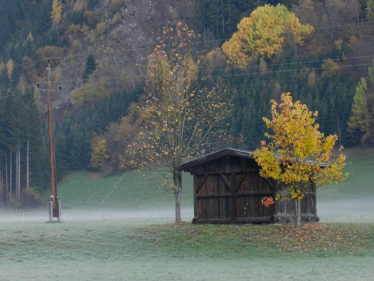 Il vecchio palo