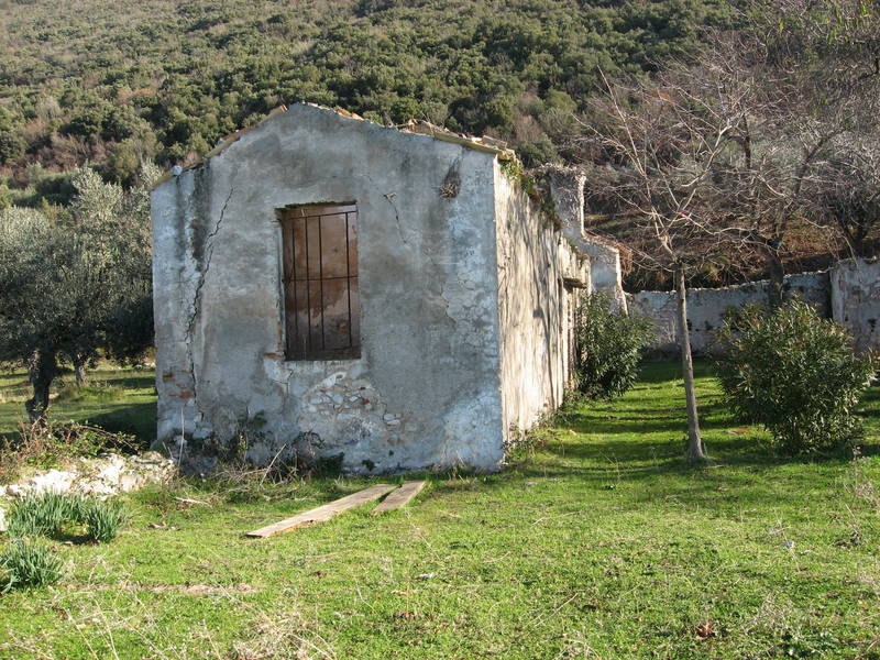 il vecchio resiste