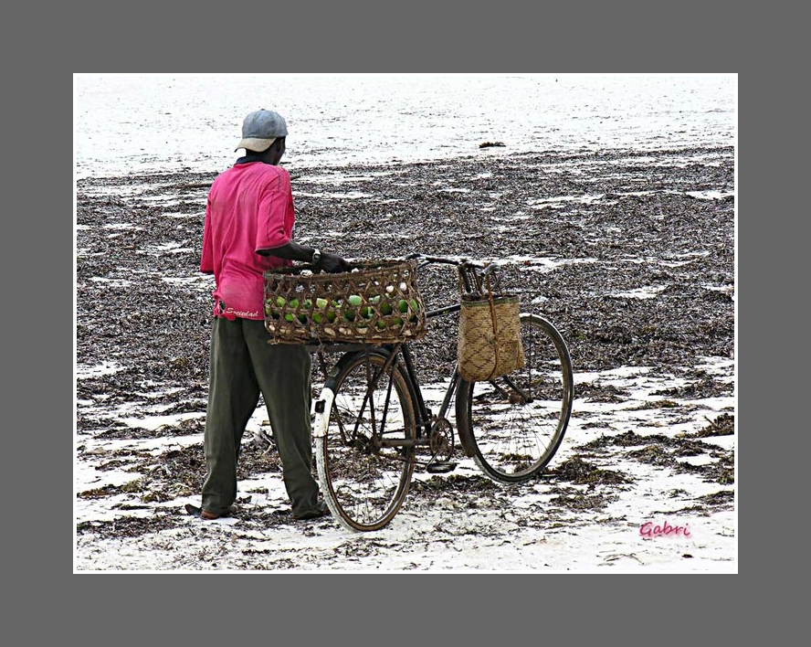 Il venditore di manghi