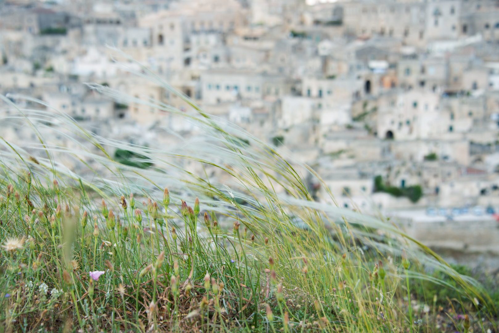 Il vento della Cultura su Matera