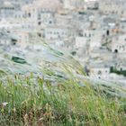 Il vento della Cultura su Matera