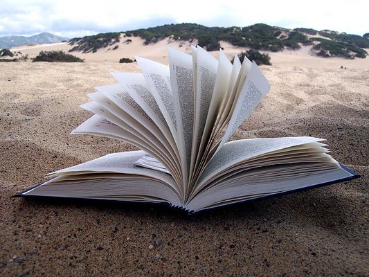 .....il vento non sa leggere.....