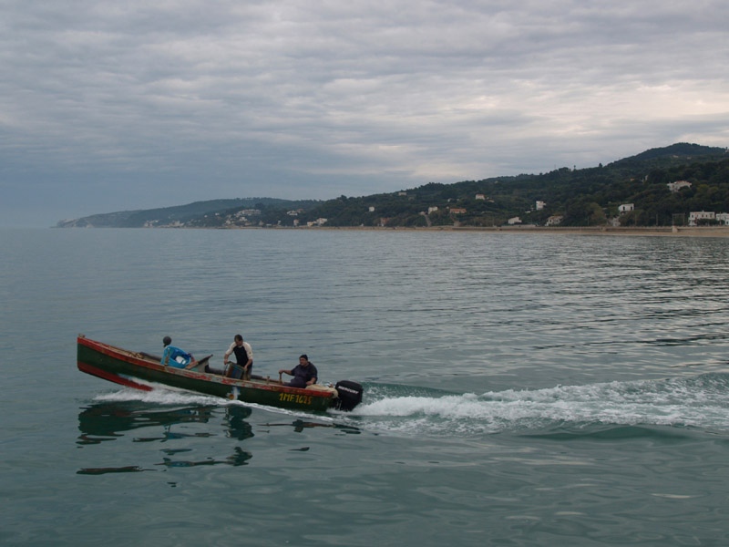 il verde a novembre