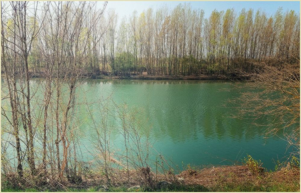 Il verde Adige!....