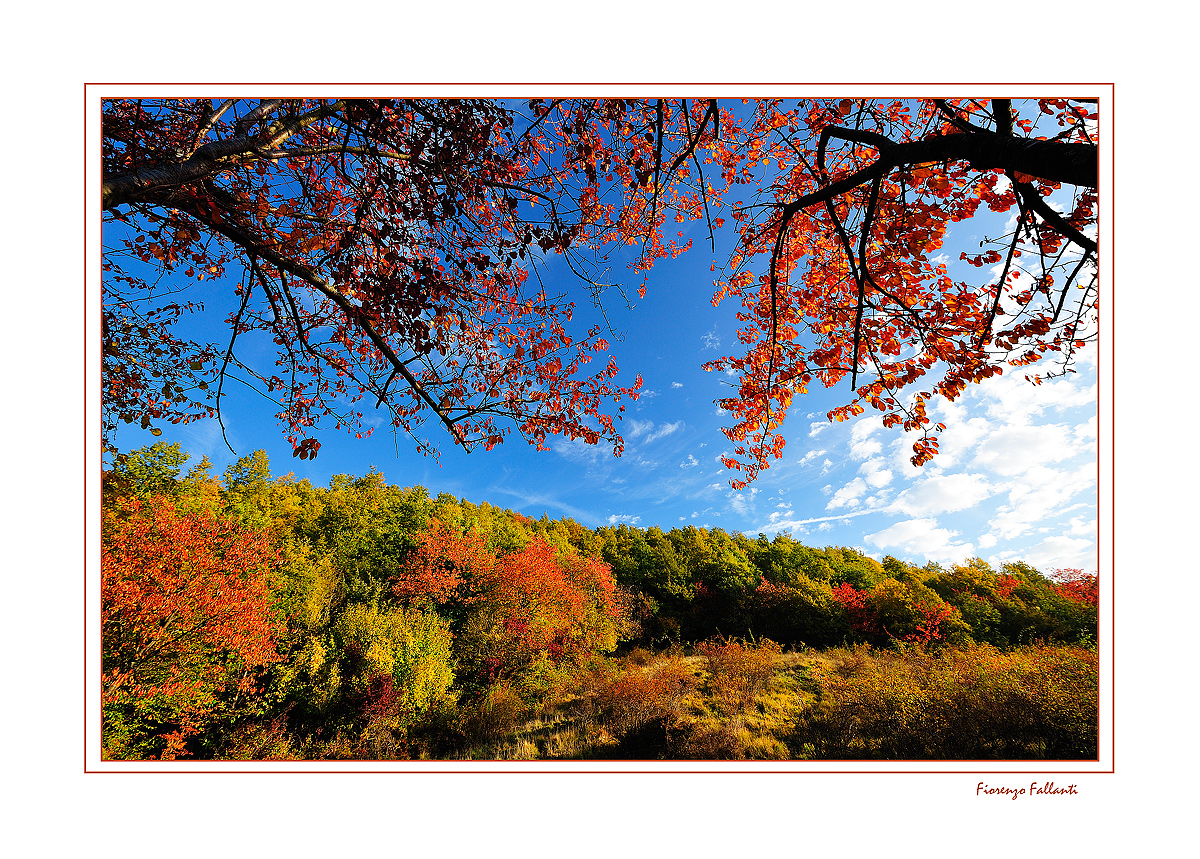 ...IL VERMONT DELL'APPENNINO...